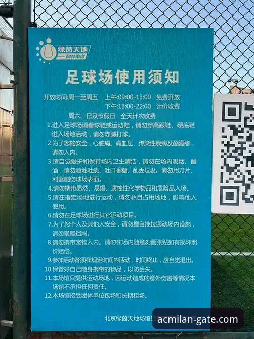 资深用户分享：在米兰体育平台，我如何沉浸式体验一场青春风暴